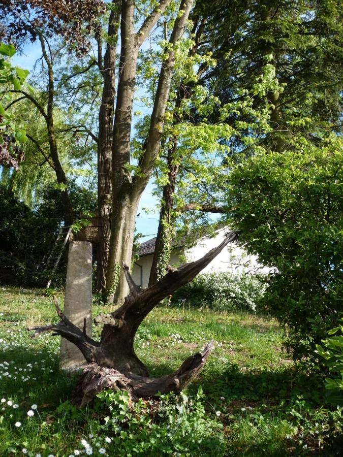 Gite D'Maisala Les Mesanges Heidwiller Exterior foto